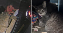 Side-by-side images show a man beside a dumpster at night and the injured gray cat found afterward.