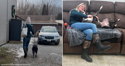 On the left, a woman in a teal jacket and pink beanie walks a black dog on a leash across a snowy gravel driveway; on the right, a blonde woman.