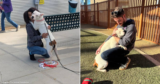 On the left, a young person kneels outdoors hugging a white dog on a leash; on the right, a bearded man cuddles the same white dog in a fenced play.