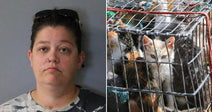 On the left, a woman with dark hair and sunglasses on her head poses against a gray background; on the right, kittens are crowded inside a wire cage.
