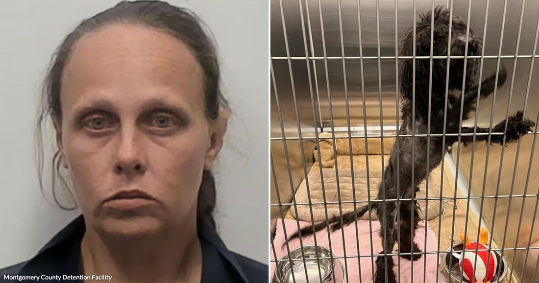 On the left, a woman with dark hair poses against a plain background; on the right, a small black curly-haired dog stands in a metal kennel cage.