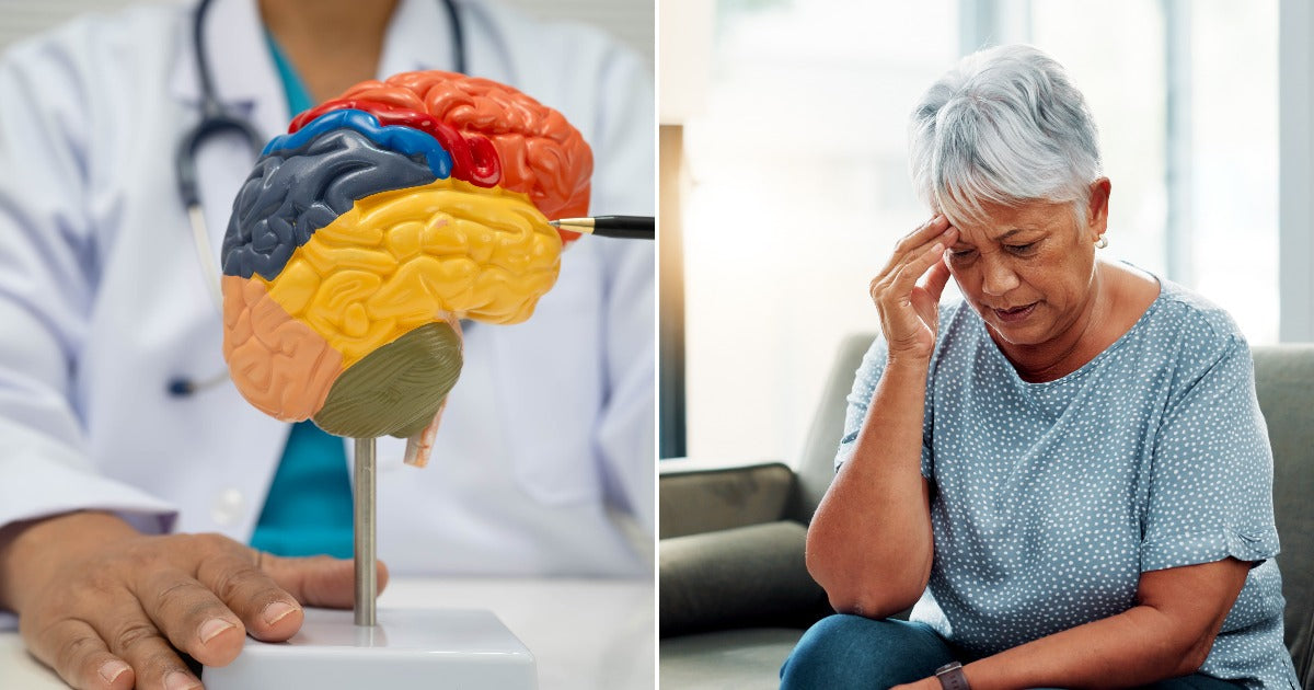 Scientists Identify a Brain 'Death Complex' That May Help Explain Why ...