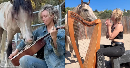 On the left, a blonde woman plays guitar while a grey horse nuzzles the instrument in a sandy corral; on the right, the same woman kneels before a harp as.