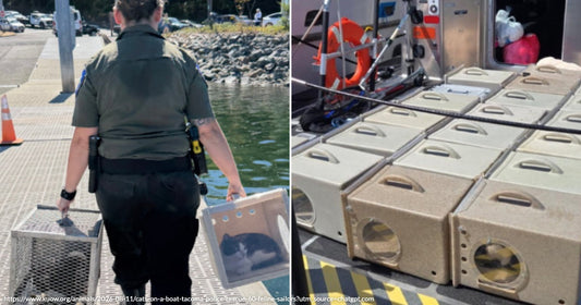 On the left, a uniformed officer carries a cat in a clear carrier on a dock near water; on the right, rows of tan animal transport boxes sit secured on.
