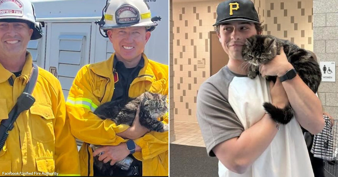 On the left, two firefighters and an animal services officer smile outdoors holding a rescued tabby cat; on the right, a young man in a baseball cap cuddles the same.