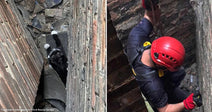 On the left, a black-and-white cat is wedged in a narrow gap between wooden walls; on the right, a person in a red helmet descends the same tight space.