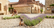 A woman pets her dog beside vibrant lavender plants in a quaint village.
