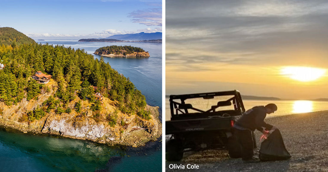 Dead Canines Are Washing Up On An Island — ‘There is a diabolical person out there’ | The Animal Rescue Site