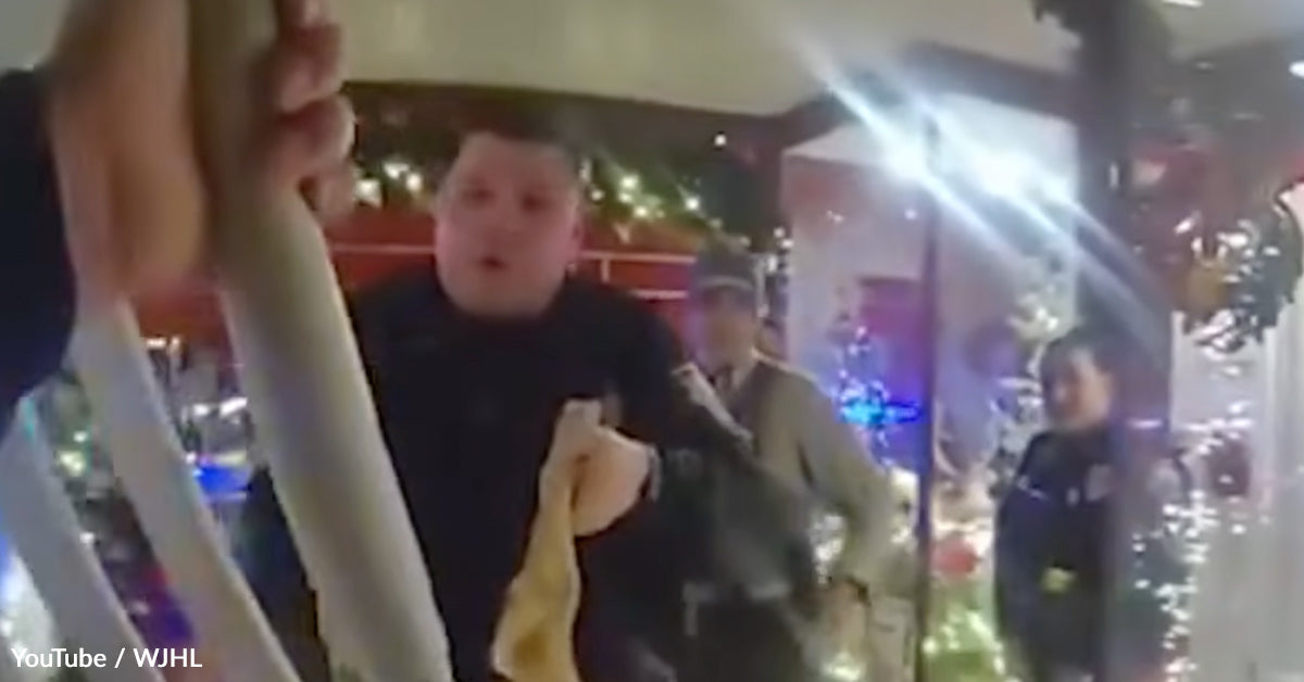 Doe’s Christmas Retailer Rampage Ends in a Coronary heart-Pounding Rescue