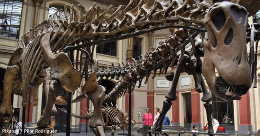 How Dinosaur Fossils May Help with Present-Day Cancer Breakthroughs