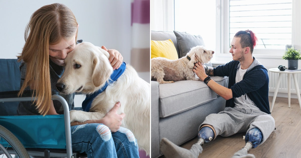 Federal Rollback Leaves Disabled Tenants Fighting To Keep Their Homes And Their Animals