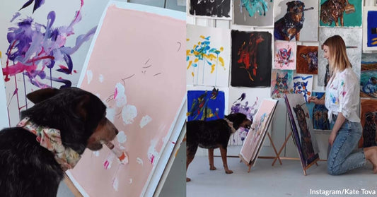 An Artist Bonds with Her Dog with Paint Brushes and Splashes of Color