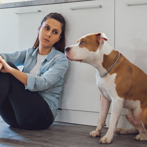 Stop Insurance Companies From Punishing Dogs By Breed