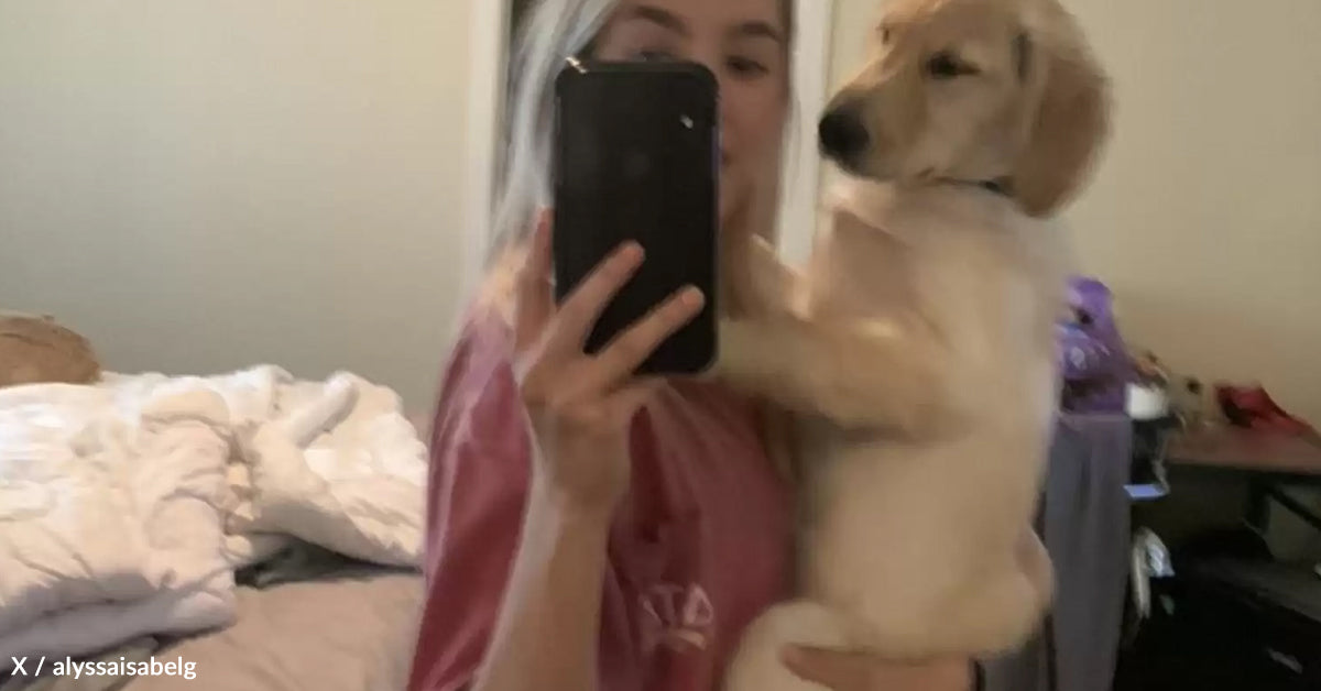 Pet Turns into Web Sensation After His Lovely “Booty” Picture Goes Viral