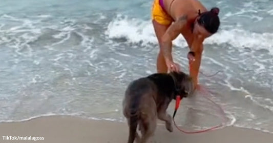 Person in a yellow swimsuit bends to guide a leashed dog at the edge of ocean waves on a sandy beach.