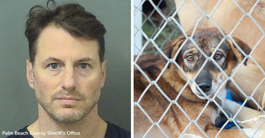 Mugshot of a man next to a thin dog behind a chain-link fence, appearing underweight.
