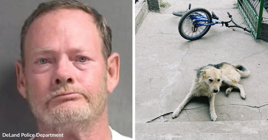 Mugshot of a man next to a dog lying on pavement near a bicycle, suggesting possible mistreatment.