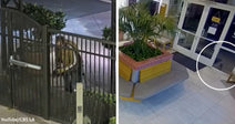 Security camera collage shows a person outside a gated entrance at night on the left, and a small dog circled near glass doors inside a tiled lobby on the right.