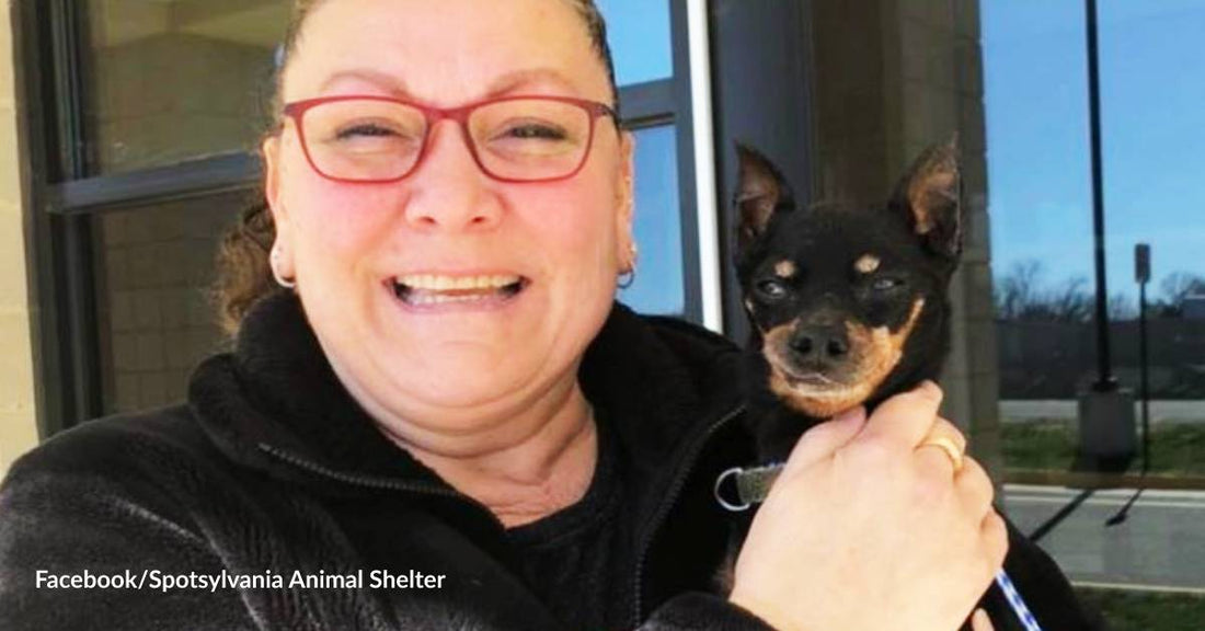 Incredible Story: After Missing for Seven Years, Dog Gets Reunited with Mom