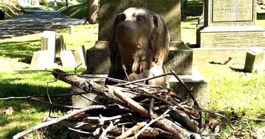 A dog statue surrounded by sticks in a serene cemetery setting.