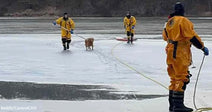 Emergency responders in protective suits guide a rescued dog across a frozen lake using ropes and rescue equipment.