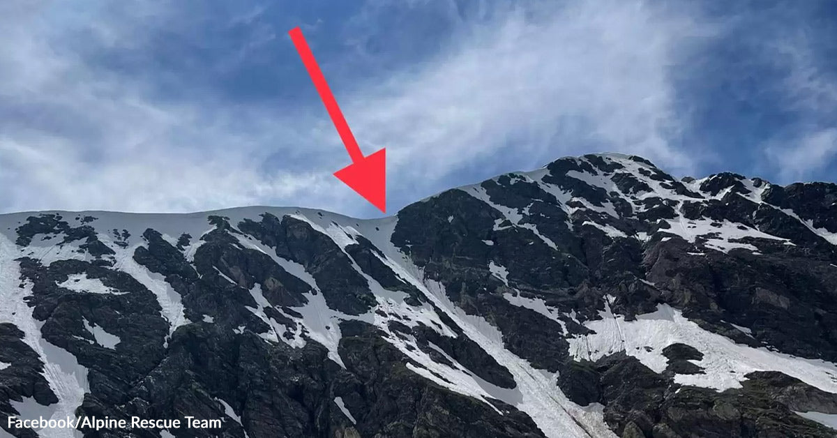 Hikers Spot A Speck Of Black On Mountain And Understand It’s A Canine Hikers Spot A Speck Of Black On Mountain And Understand It’s A Canine