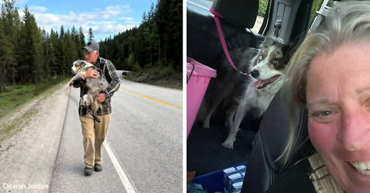 Man carries a dog along a rural road, while a second image shows the dog safely inside a vehicle with a smiling passenger.