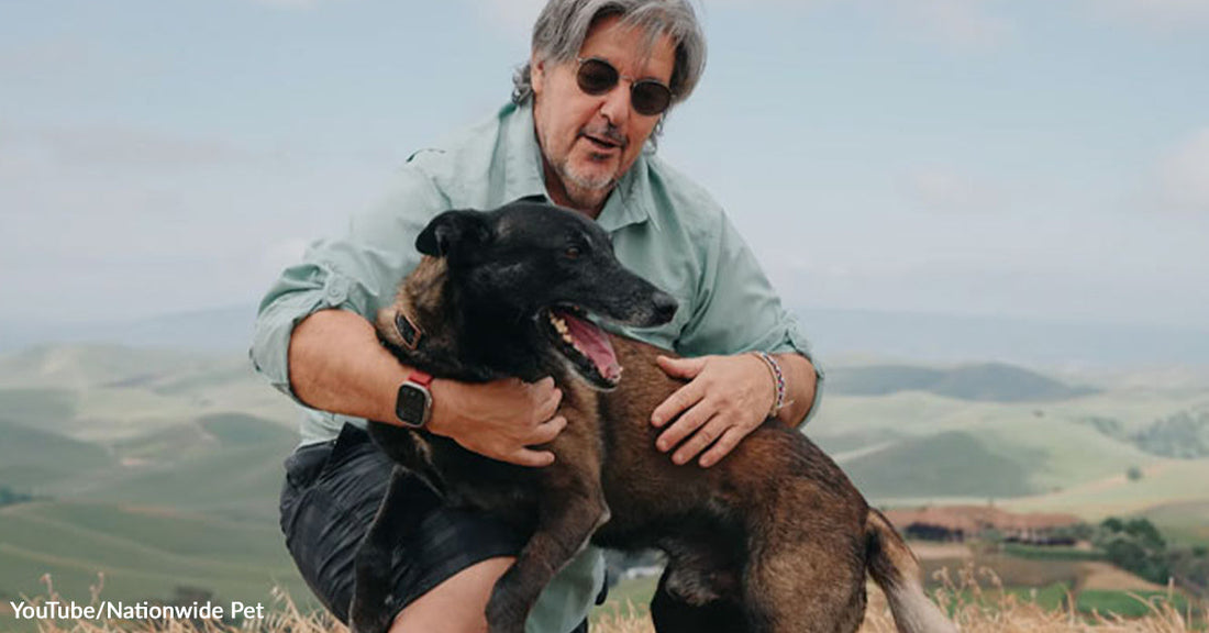 Man kneeling on a hillside hugging a happy black-and-brown dog with rolling hills in the background.