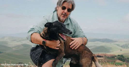 Man kneeling on a hillside hugging a happy black-and-brown dog with rolling hills in the background.