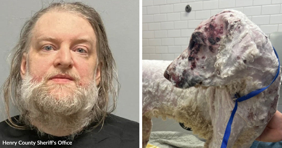 Split image showing a mugshot of a man beside a white dog with visible injuries and skin irritation.