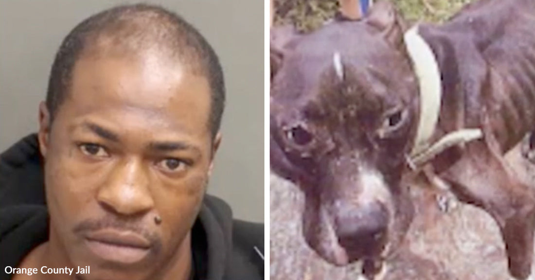 Mugshot of a man next to an emaciated dog with visible ribs, highlighting neglect.
