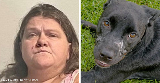 Mugshot of a woman next to an image of a black dog lying in grass looking up at the camera.