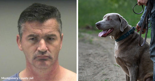 A mugshot of a man with short dark hair appears beside a photo of a dog on a leash being held by a handler outdoors.