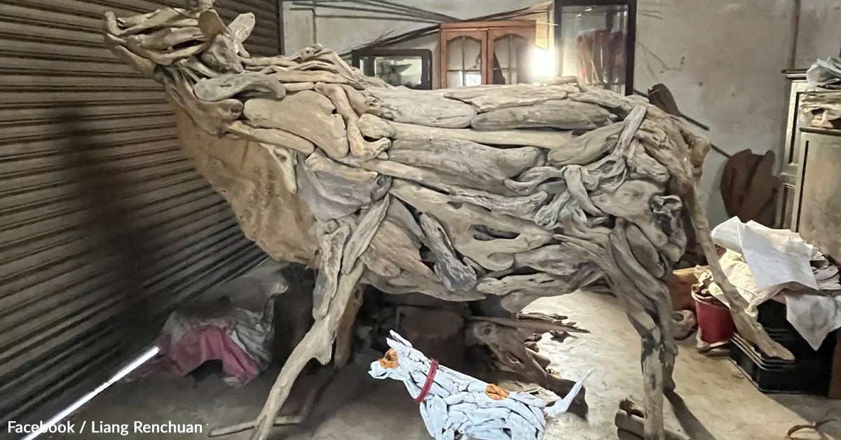 Heartfelt Driftwood Memorial Created For Trustworthy Canine Reveals Artwork and Grief in Concord