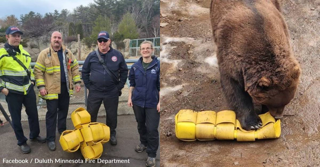 Fire Department Finds Good Use for Old Hoses: Turning Them Into Toys for Zoo Animals