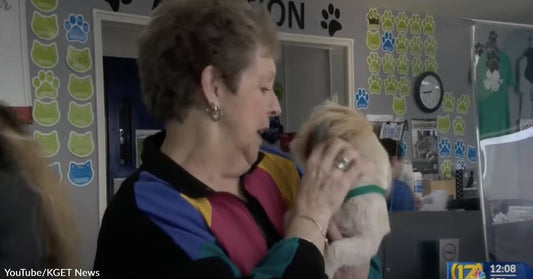 80-Year-Old Woman Waits Outside Shelter All Night To Adopt Perfect Rescue Dog