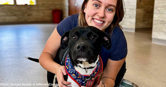 Shelter Animals Evacuated After Hurricane Helene Find Loving Homes in Wisconsin