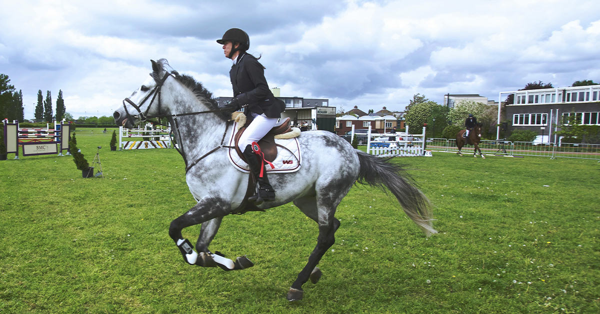 FEI’s Blood Rule Rollback Turns Present Leaping Into A Blood Sport