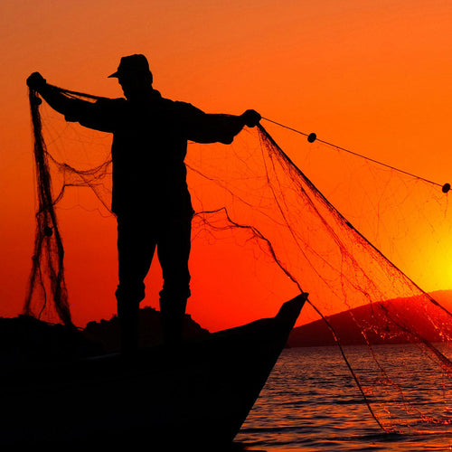 Ban These Plastic Death Traps That Are Killing Sea Turtles and Baby Tuna