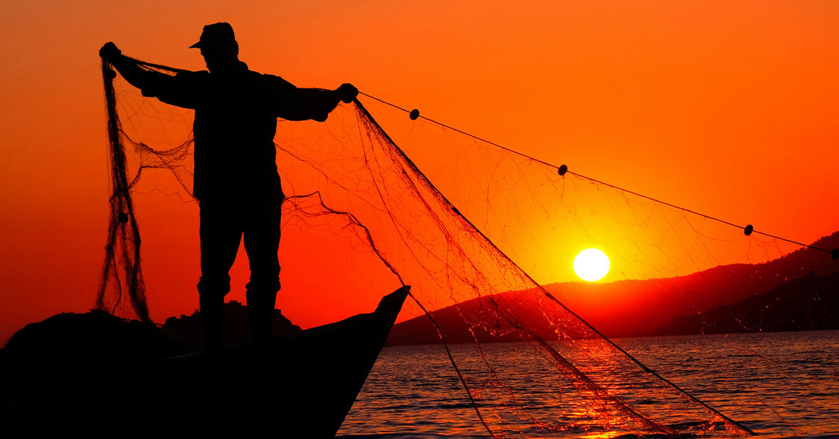 The High Cost of Convenience: How Fish Aggregating Devices Are Altering ...
