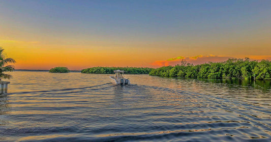 Florida’s New Boating Law Opens the Floodgates to Marine Exploitation