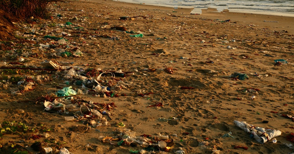 Food Wrappers Top The List Of Trash Found On Beaches Worldwide