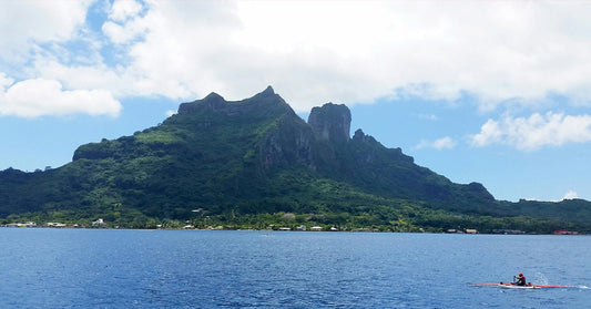 French Polynesia Blocks Industrial Fishing By Creating The World's Largest Marine Protected Area