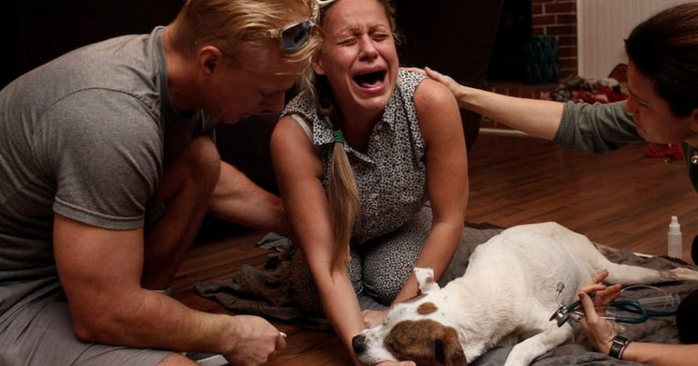 Emotional Photo Series Shows Owners' Grief As Pets Are Euthanized