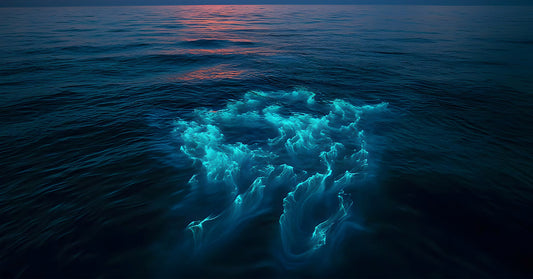 Brilliant neon blue swirls of bioluminescence spread across the ocean surface at twilight, resembling glowing fire underwater.