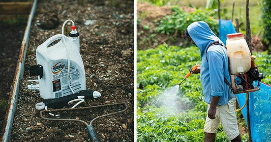 Scientists Link Roundup Chemical to Multiple Cancers at Legal Exposure Levels