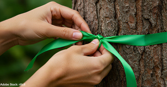 Green Ribbons and Lights Can Be Seen Across Texas to Honor Flood Victims