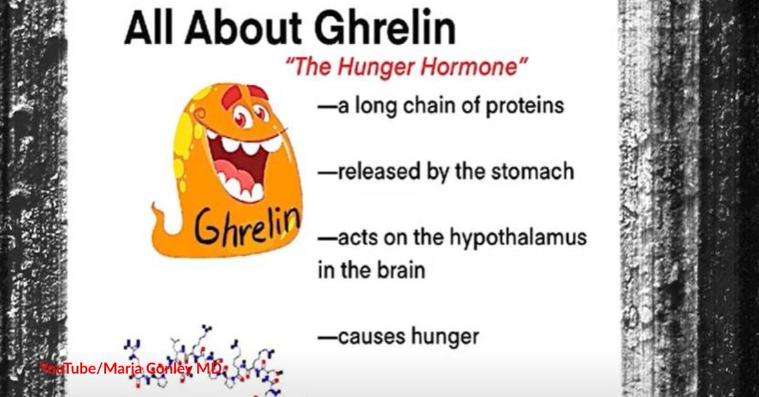 Discover How These Seven Hormones Regulate Our Appetite