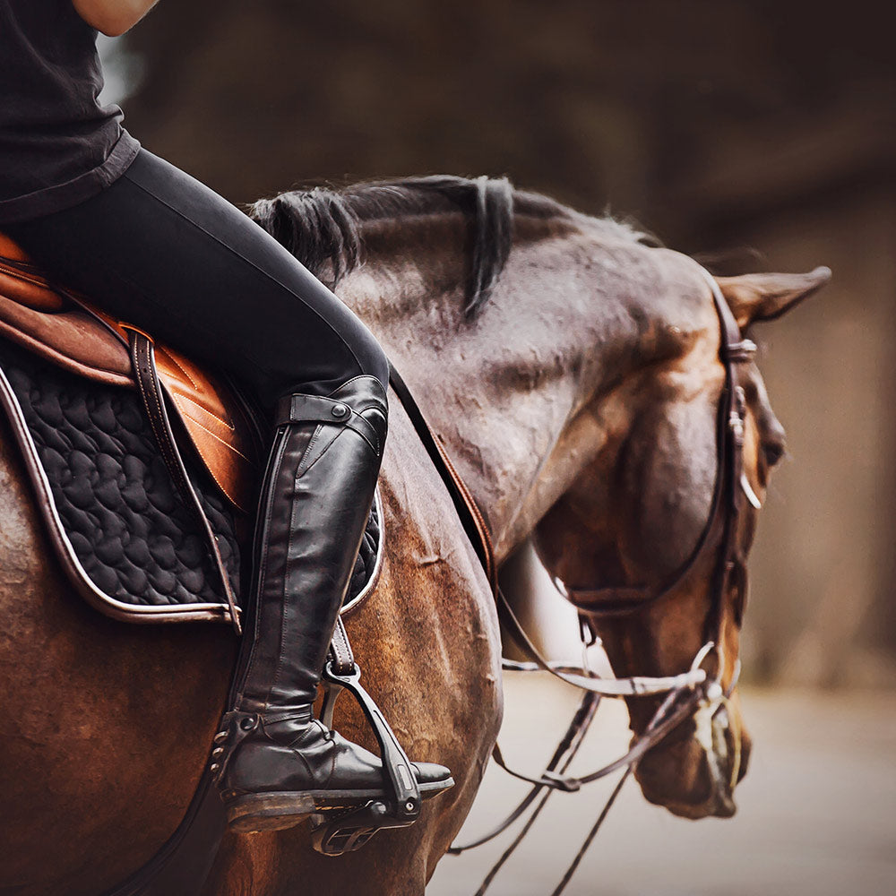 Keep Horrific Horse Abuse Out of the Olympics