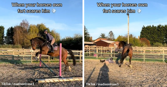 Find Out The Hilarious Reason Why This Horse Chucked Its Trainer Off Its Back In Viral Video